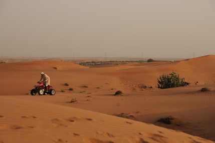 e0066474_41330.jpg