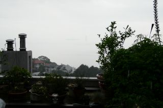 2010年7月9日 ドキドキするような_b0098584_7593674.jpg