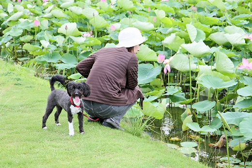 高松城跡公園_e0190885_19364055.jpg