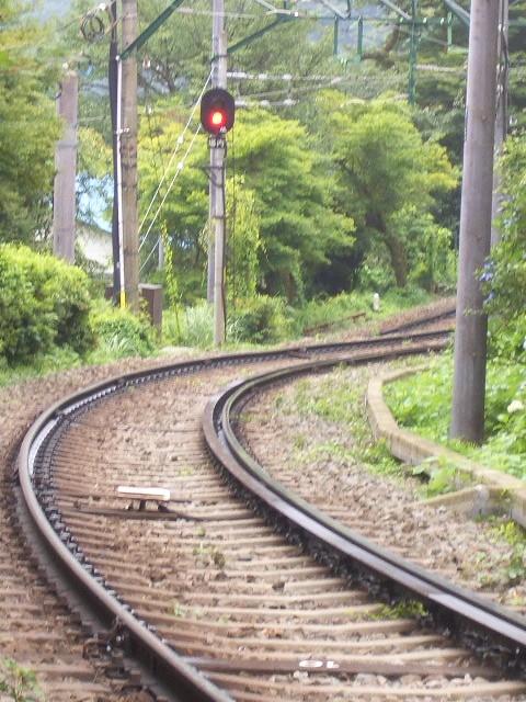 箱根のあじさい　２０１０　大平台駅周辺_e0114588_20243952.jpg