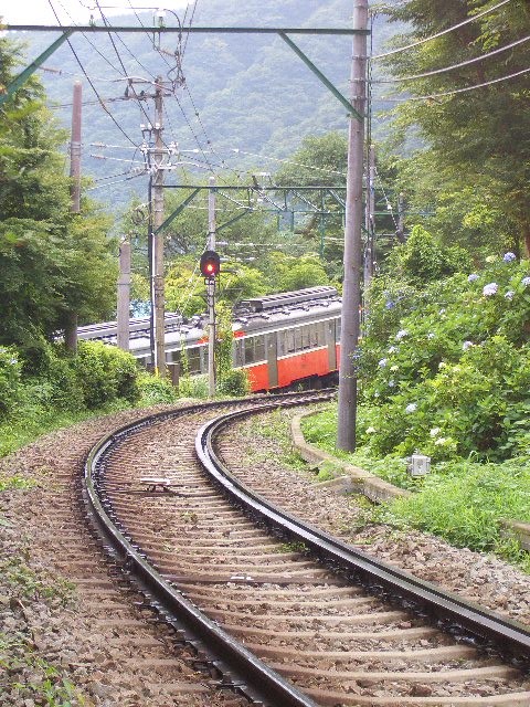 箱根のあじさい　２０１０　大平台駅周辺_e0114588_2026535.jpg