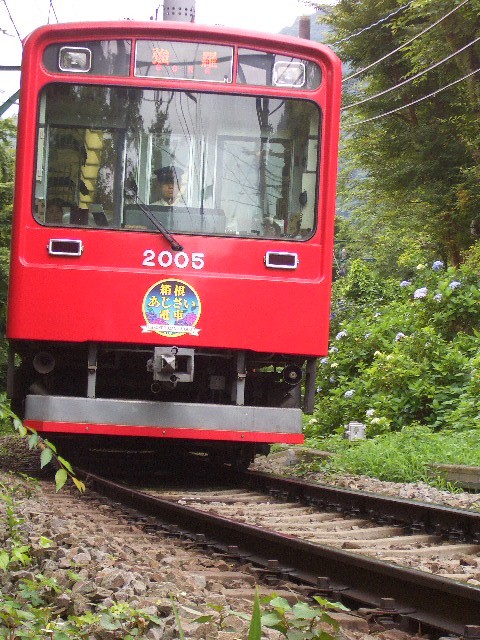 箱根のあじさい　２０１０　大平台駅周辺_e0114588_20272555.jpg