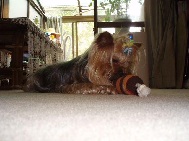 f0130894_21305297.jpg