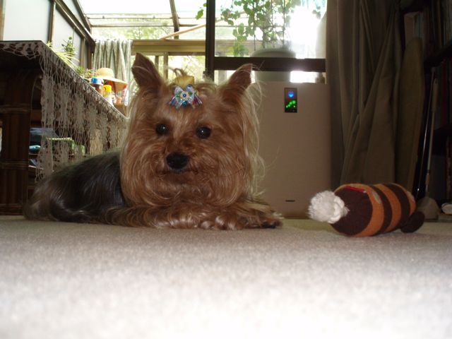 f0130894_21312480.jpg