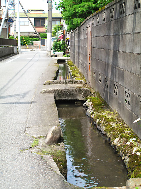 c0163001_93604.jpg