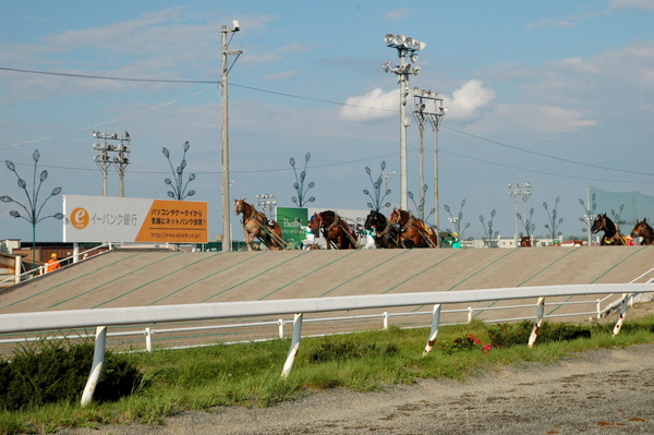 e0083204_14331642.jpg