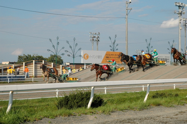 e0083204_14331725.jpg