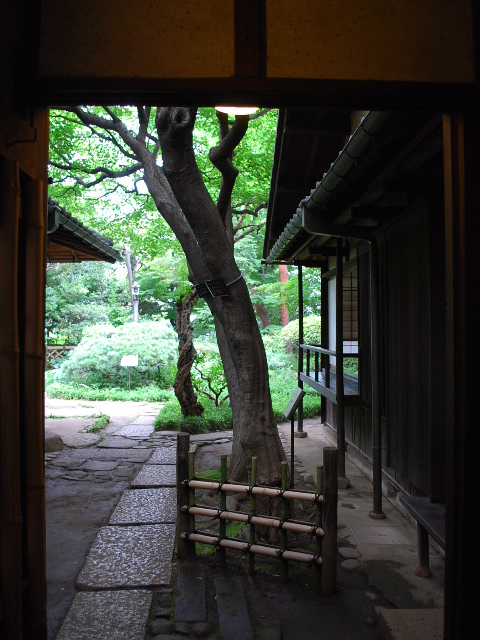 東京・新宿区立林芙美子記念館(昭和モダン邸宅探訪)_f0142606_428747.jpg