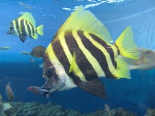 e0000910_22524767.jpg
