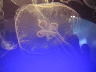 e0000910_22542115.jpg