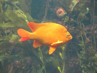 e0000910_2254225.jpg
