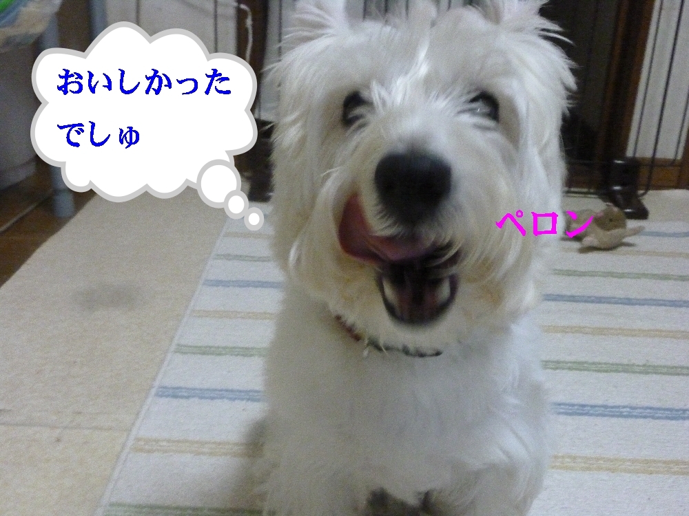 a0161111_0114048.jpg