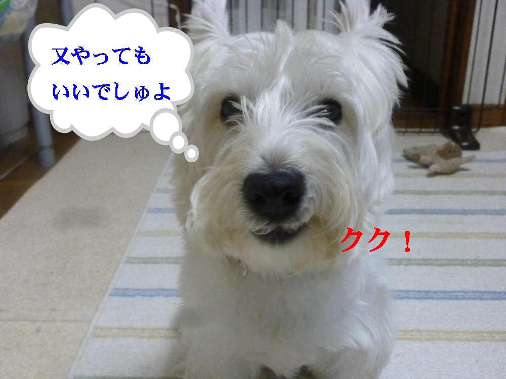 a0161111_0123440.jpg