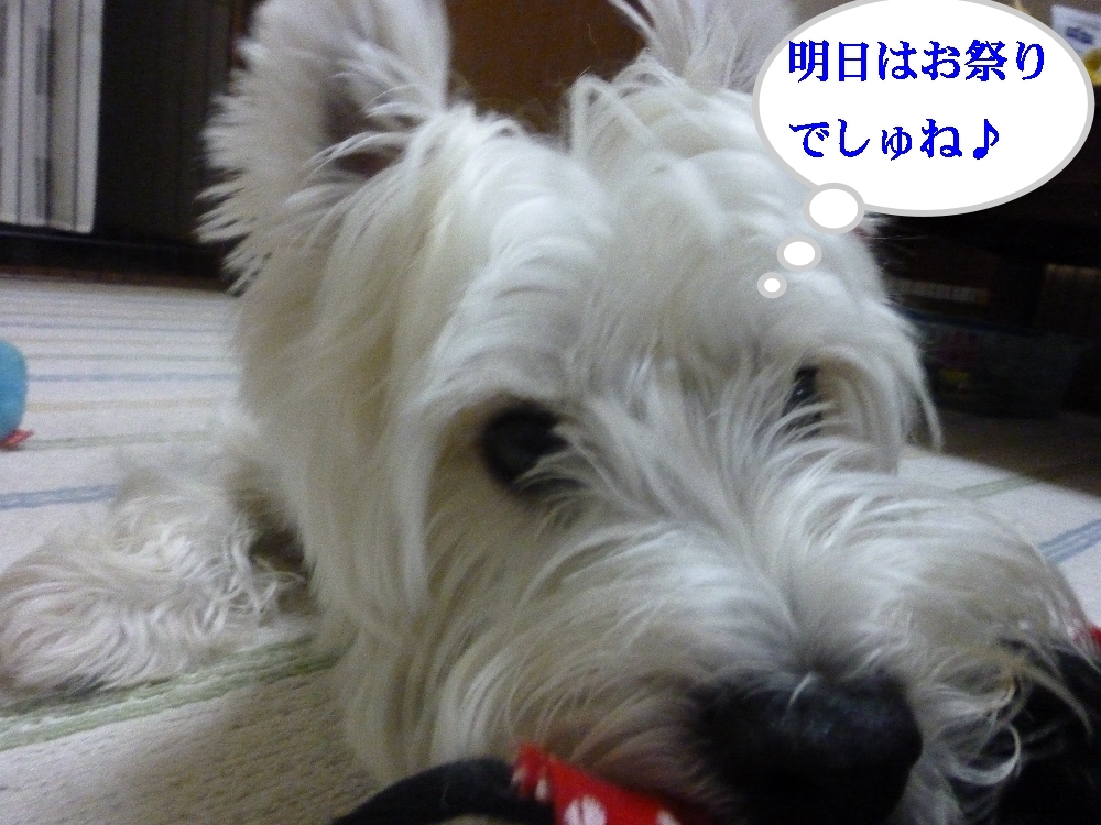 a0161111_0155620.jpg