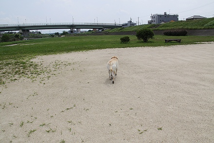 f0191413_19124572.jpg