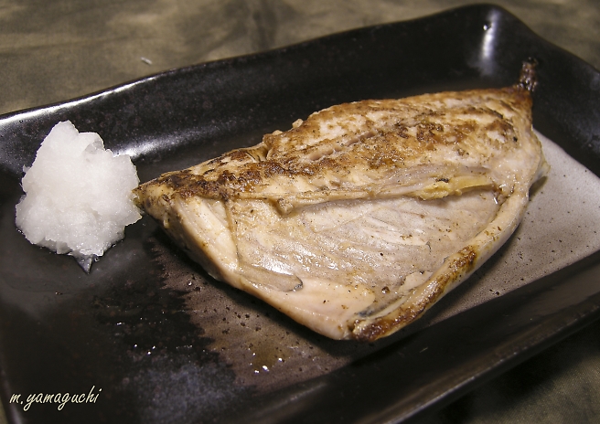 東京湾のマサバ ゴマサバ マアジを料理 Shisen