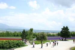 d0135814_22434372.jpg