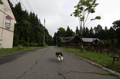 お初白馬・後編。_b0072515_1572650.jpg