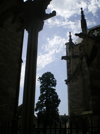 c0124619_1831190.jpg