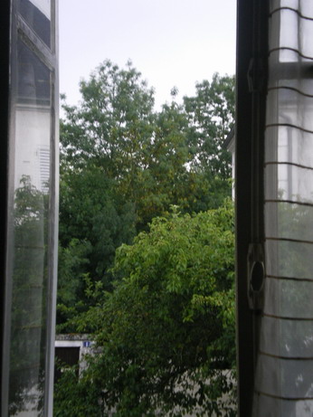 c0124619_4141358.jpg