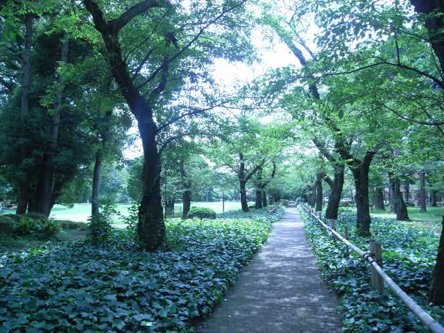 b0188724_8114493.jpg