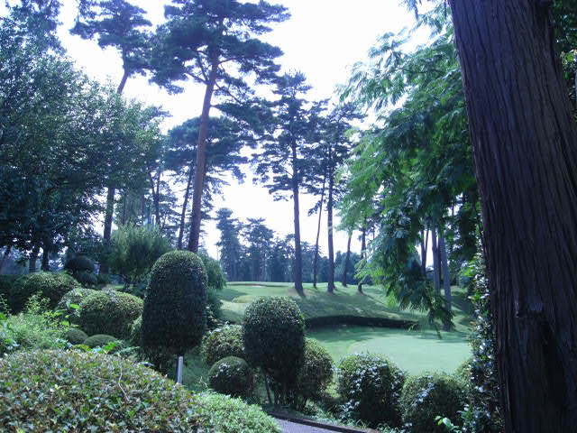 b0188724_8121241.jpg