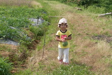 大阪と岡山からワークステイに来てくれました_e0061225_16295669.jpg