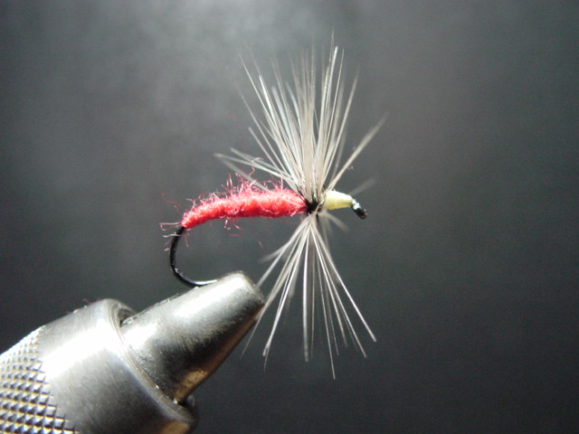 Fly Tying_f0113727_15435597.jpg