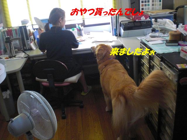 f0114128_1015834.jpg