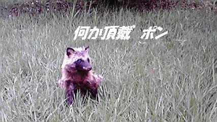 f0114128_10181425.jpg