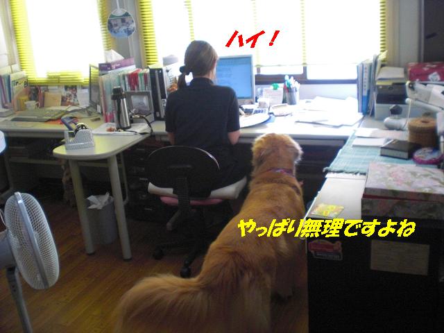 f0114128_10431.jpg