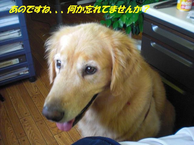 f0114128_9572440.jpg