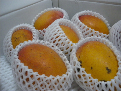 いただき物_e0188729_2234454.jpg