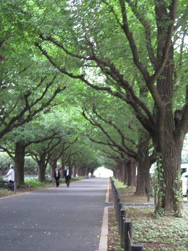 c0217931_1335510.jpg
