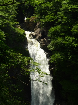 b0169238_21452671.jpg