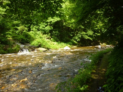 b0169238_21572412.jpg