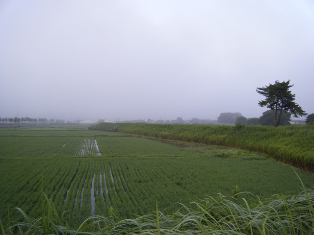 b0088444_20421968.jpg