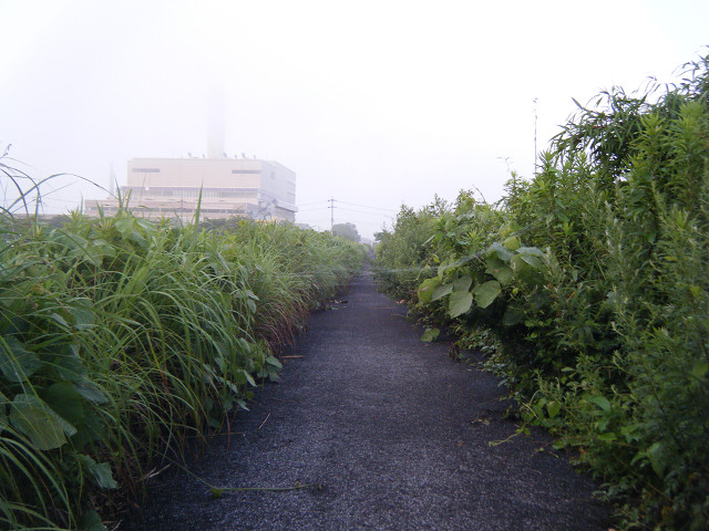 b0088444_20424868.jpg