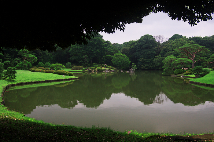緑の六義園（後編）_f0155048_023247.jpg