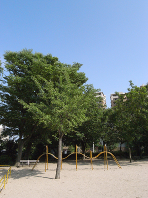 野寄公園＆住吉川にて夏を感じる_a0004752_20244530.jpg