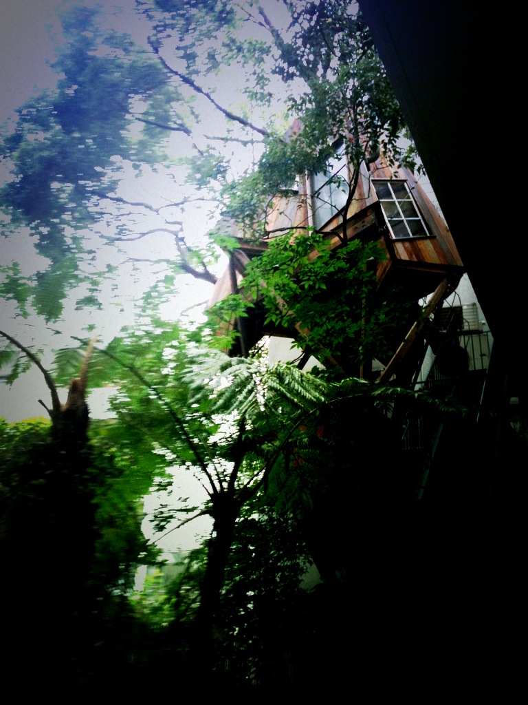 ツリーハウス_d0179060_1874387.jpg