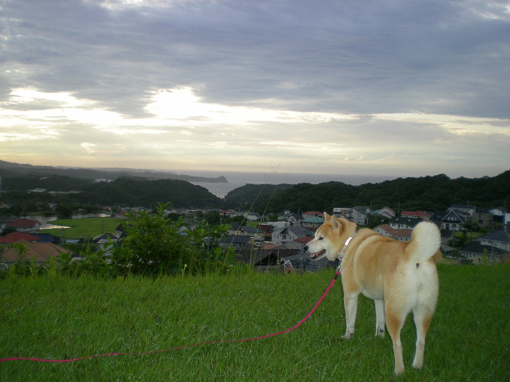 2010年7月10日(土)晴れたり曇ったり!_f0060461_8265198.jpg