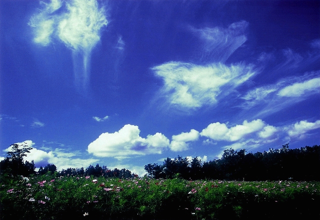 d0154964_71851.jpg