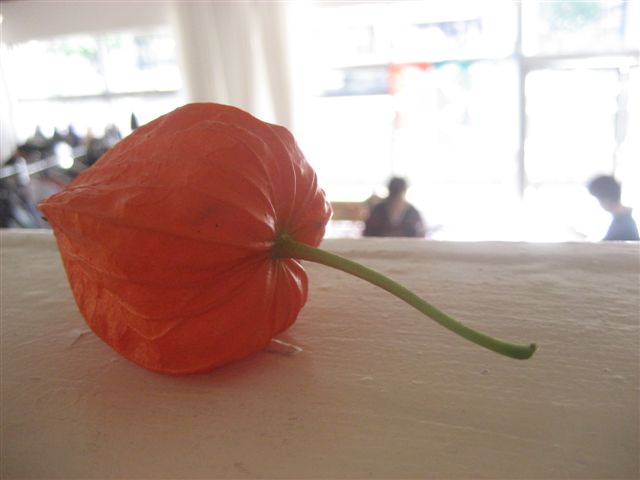 a0123465_23834.jpg
