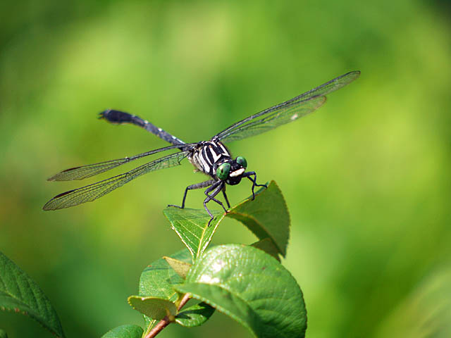 f0199866_2133584.jpg