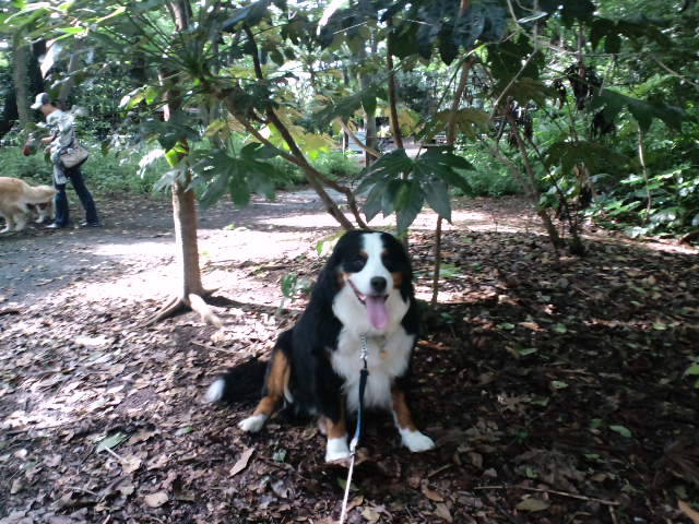 c0177668_2214861.jpg