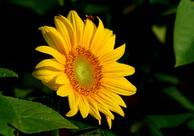 d0085887_0572631.jpg