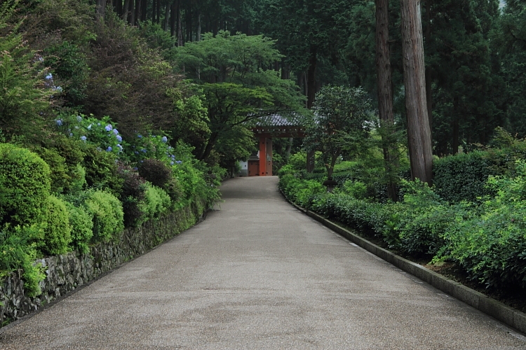 三室戸寺_e0051888_23561837.jpg