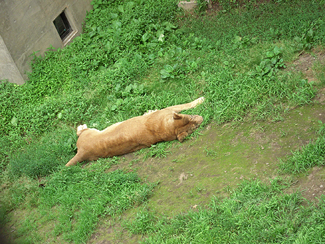 北海道旅行（アニマル編）_d0131293_15115281.jpg