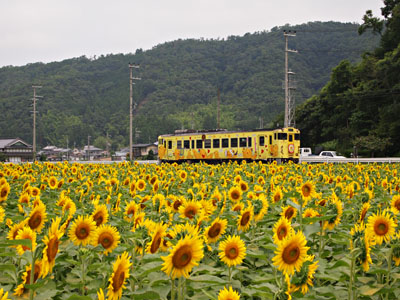 d0090101_1722515.jpg
